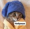 KatKob