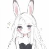 RedRabbit