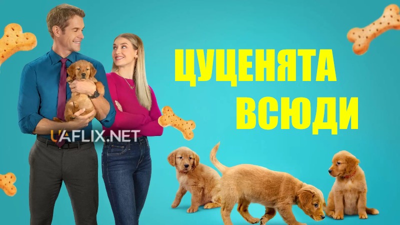 Цуценята всюди / Puppies Everywhere / Everything Puppies