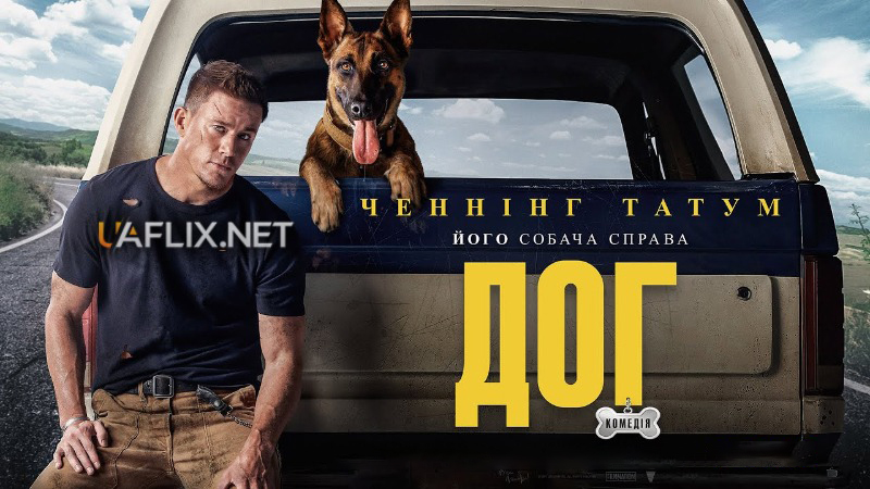 Дог / Dog