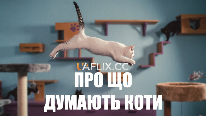 Про що думають коти / Inside the Mind of a Cat