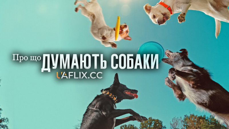 Про що думають собаки / Inside the Mind of a Dog