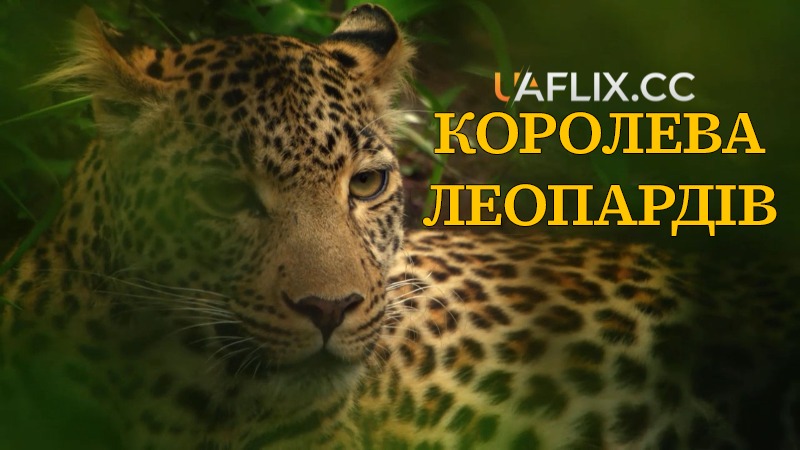 Королева леопардів / The Leopard / Die Leopardin