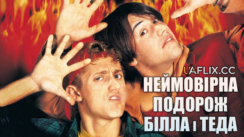 Неймовірна подорож Білла і Теда / Bill & Ted's Bogus Journey