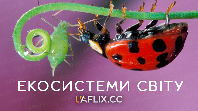 Екосистеми світу / Nature's Microworlds