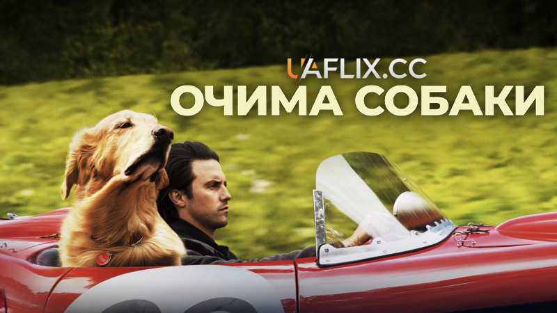 Очима собаки / The Art of Racing in the Rain