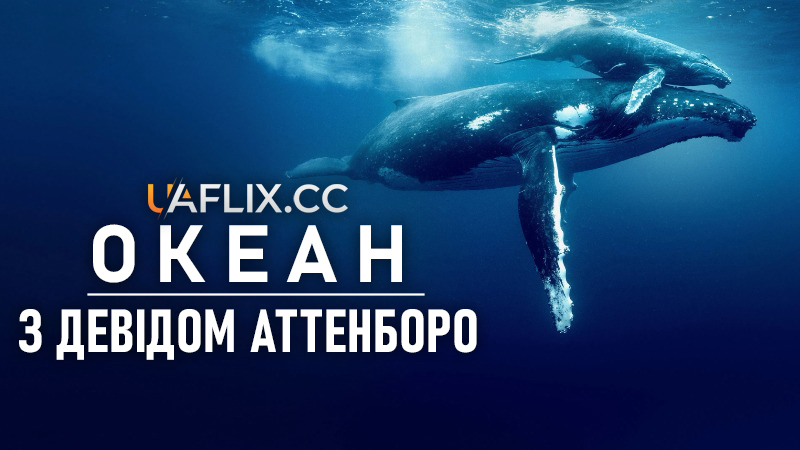 Океан з Девідом Аттенборо / Ocean with David Attenborough