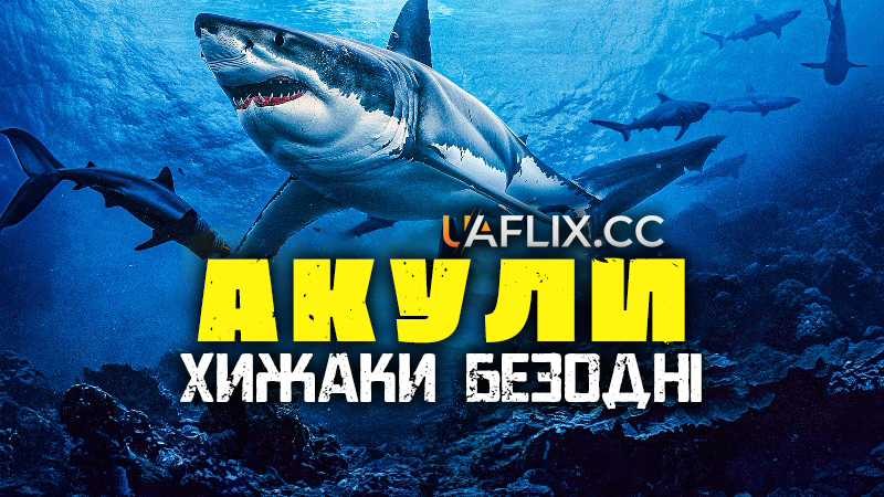 Акули: Хижаки безодні / Sharks: Predators of the Deep