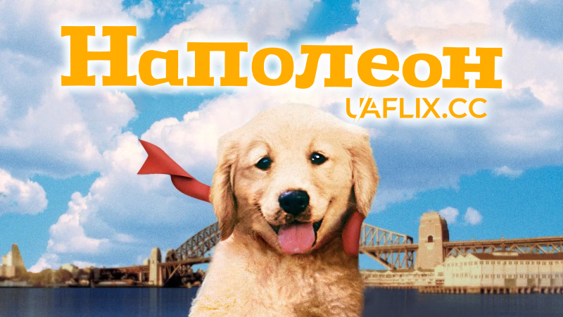 Наполеон / Napoleon