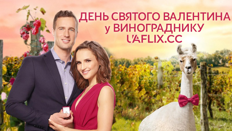 День святого Валентина у винограднику / Valentine in the Vineyard