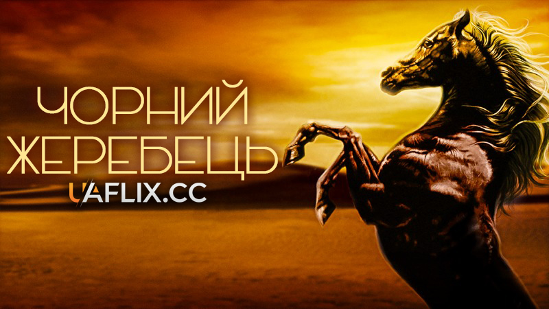Народжений у пісках / Чорний жеребець / Young Black Stallion