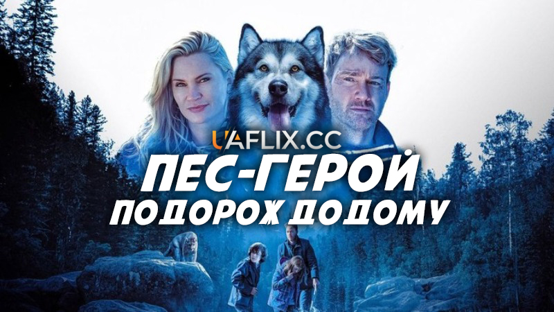 Пес-герой: Подорож додому / Проти природи: Подорож додому / Hero Dog: The Journey Home