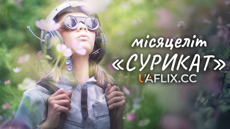 Місяцеліт Сурикат / Meerkat Maantuig / Meerkat Moonship