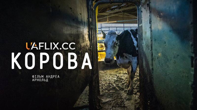Корова / Cow
