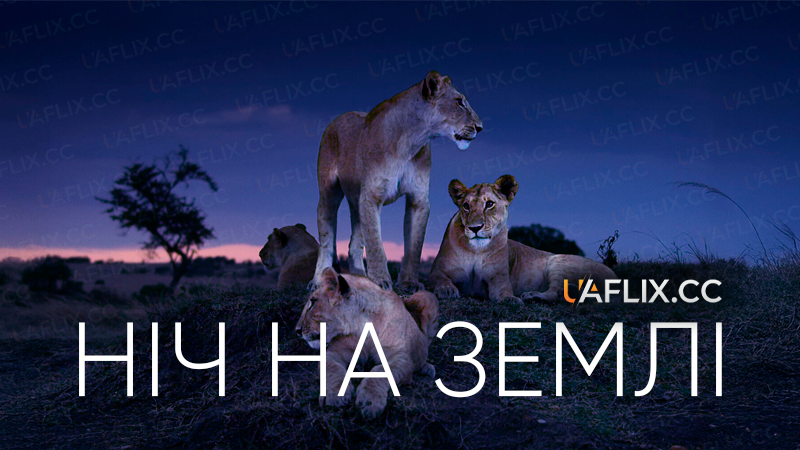 Ніч на Землі / Night on Earth