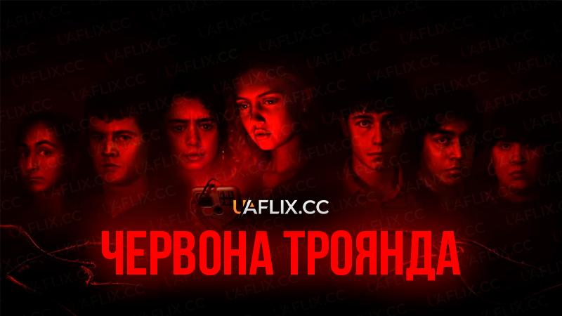 Червона троянда / Red Rose