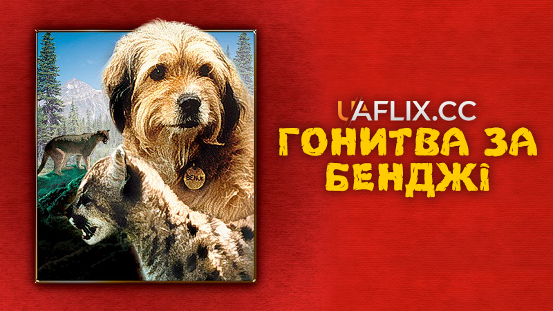 Гонитва за Бенджі / Benji the Hunted