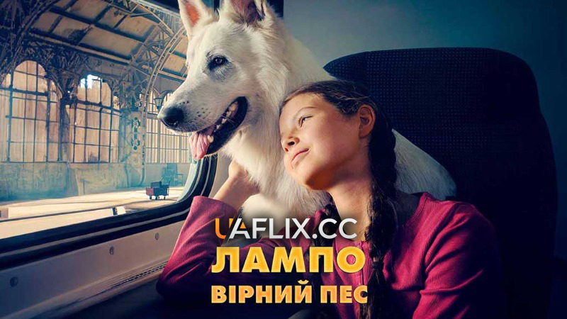 Лампо: Вірний пес / Lampo, the Travelling Dog / O psie, który jezdzil koleja