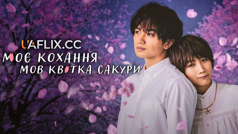 Моє кохання мов квітка сакури / Sakura no yôna boku no koibito / Love Like the Falling Petals