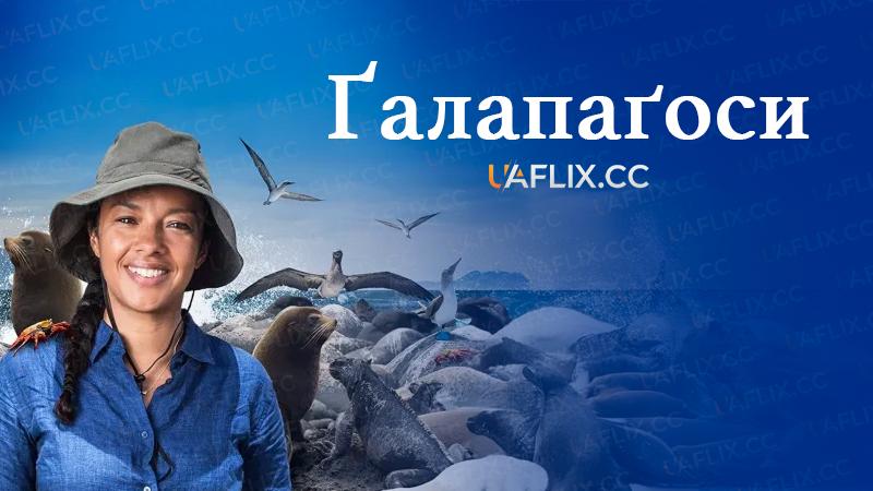 Ґалапаґоси / Galapagos