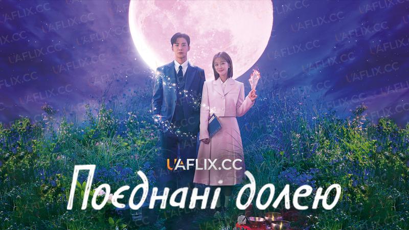 Поєднані долею / Destined with You / This Relationship Is Force Majeure / Irresistible Love / I Yeonaeneun Bulgahangryeok