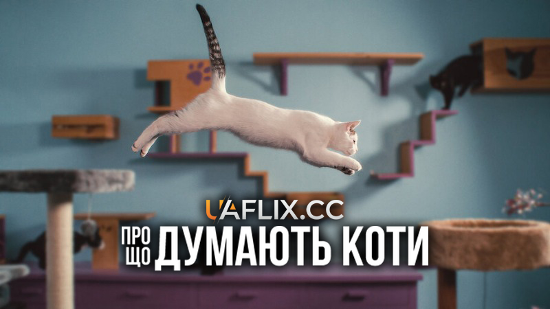 Про що думають коти / Inside the Mind of a Cat