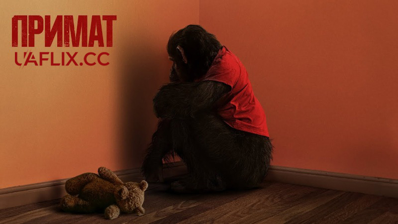 Примат / Primate