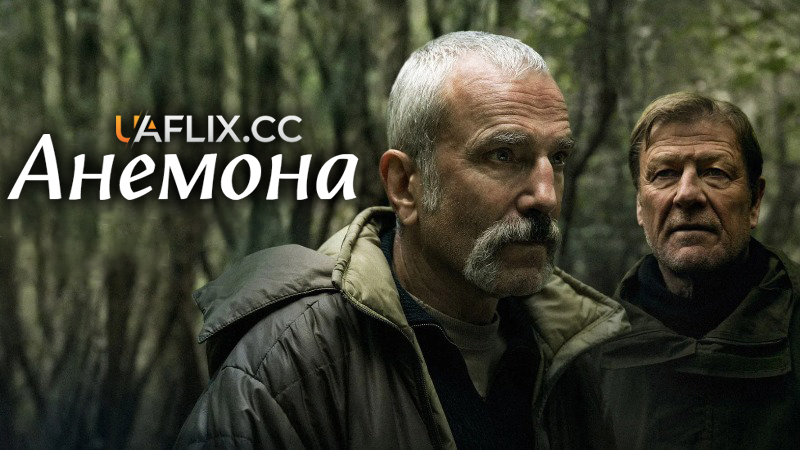 Анемона / Anemone