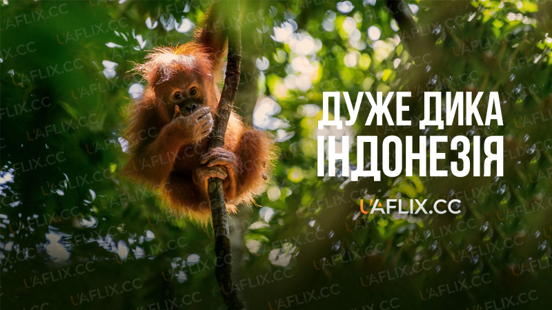 Дуже дика Індонезія / Wildest Islands of Indonesia