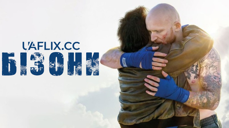 Бізони / Bisons