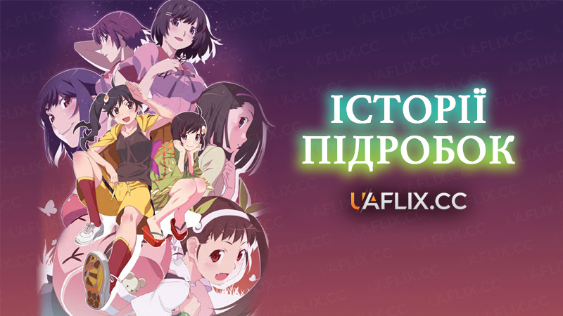 Історії підробок / Nisemonogatari