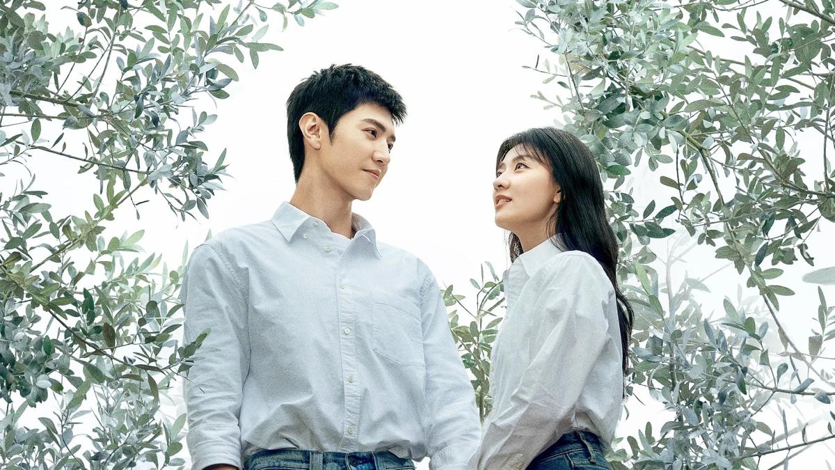 Біле оливкове дерево / The White Olive Tree / Bai se gan lan shu