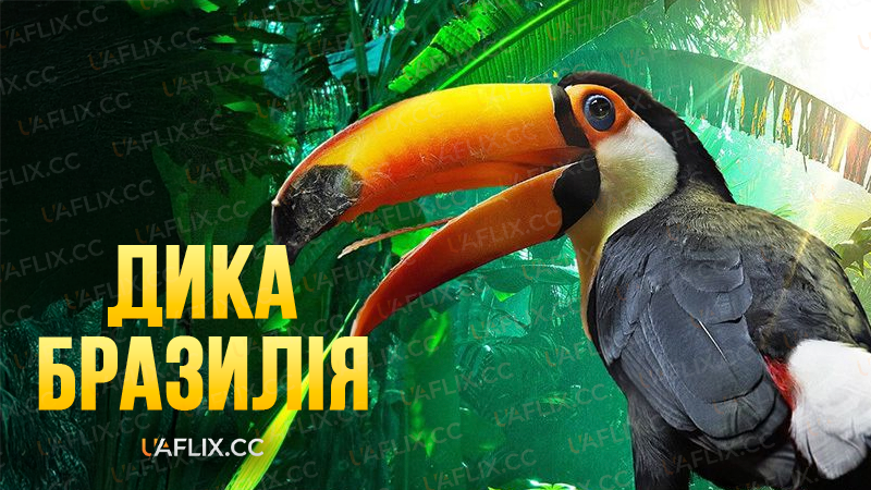 Дика Бразилія / Brazil a Natural History