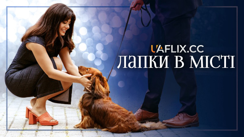 Лапки в місті / Такса носить Прада / Paws in the City / The Dachshund wears Prada