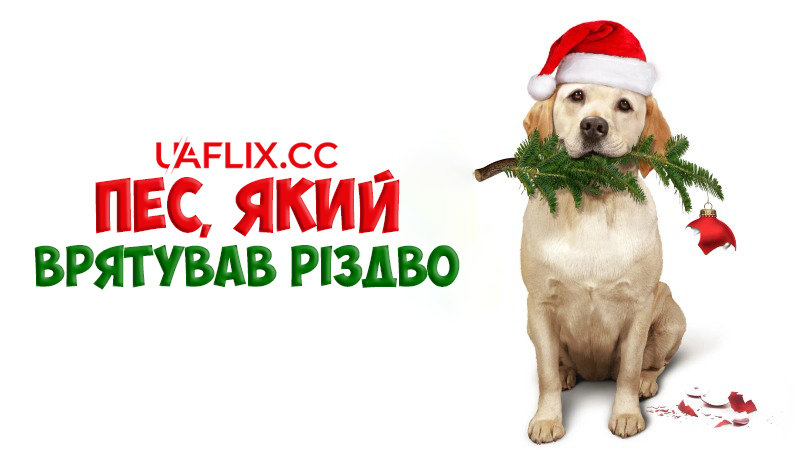 Пес, який врятував Різдво / The Dog Who Saved Christmas