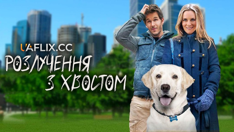 Розлучення з хвостом / Хвостате майно / Who Gets the Dog?