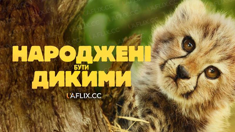Народжені бути дикими / Born to be Wild