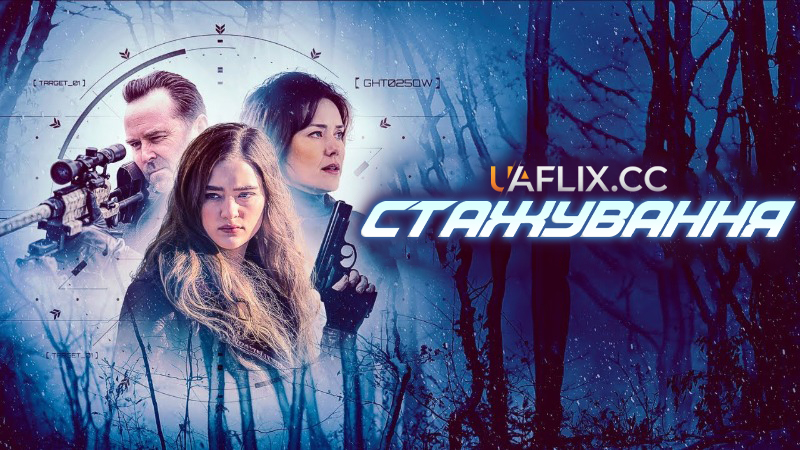 Стажування / The Internship