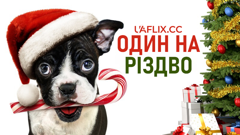 Один на Різдво / Alone for Christmas / Bone Alone