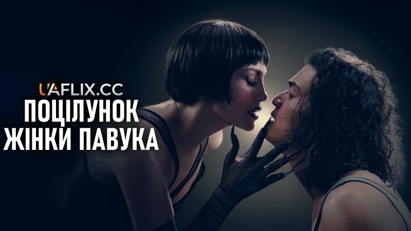 Поцілунок жінки-павука / Kiss of the Spider Woman