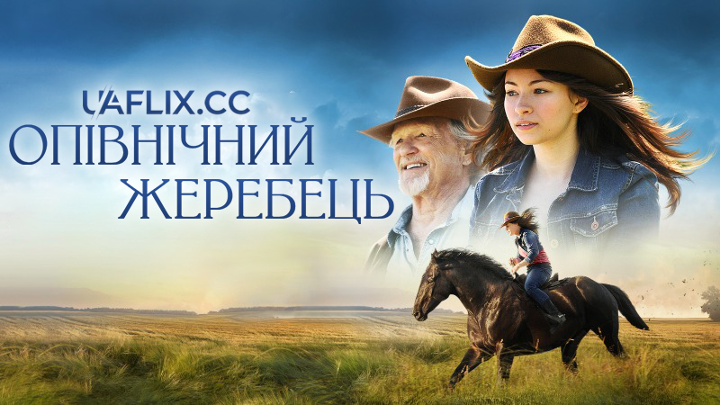 Опівнічний жеребець / Midnight Stallion