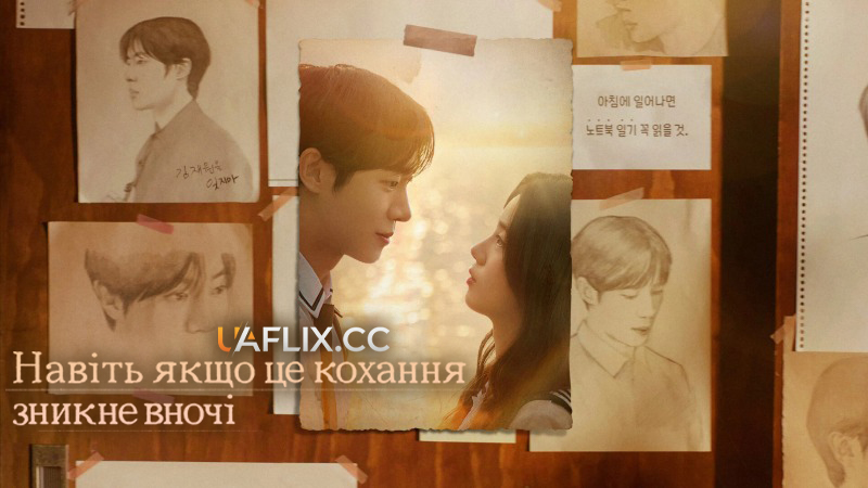 Навіть якщо це кохання зникне вночі / Oneul Bam, Segyeeseo Yi Sarangyi Sarajinda Haedo / Even if This Love Disappears from the World Tonight