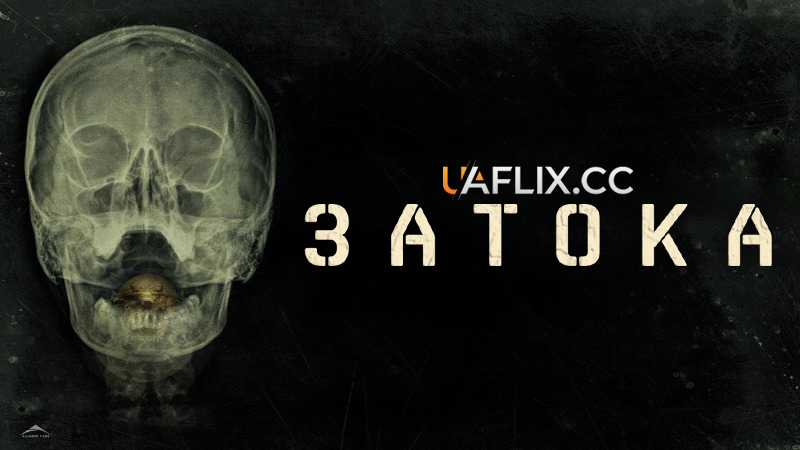 Затока / The Bay