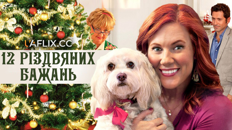 12 різдвяних бажань / 12 Wishes of Christmas