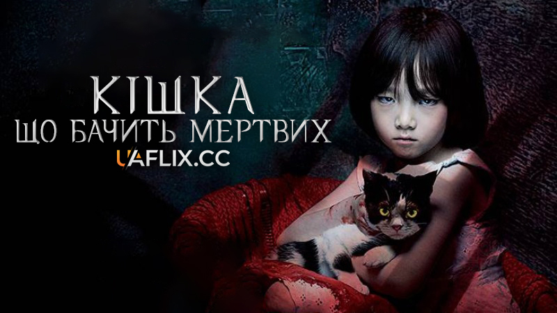 Кішка, що бачить мертвих / The Cat / Goyangi: jukeumeul boneun du gaeui nun