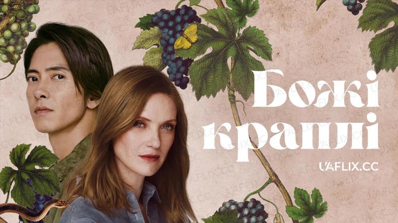 Божі краплі / Drops of God / Les Gouttes de Dieu