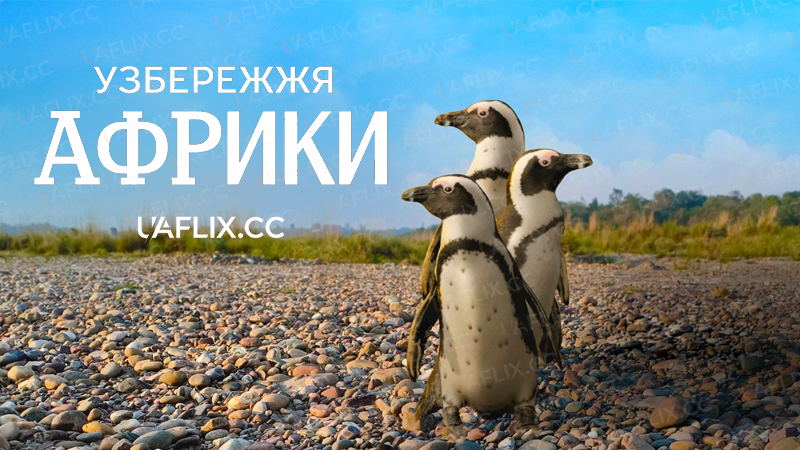 Узбережжя Африки / Coastal Africa