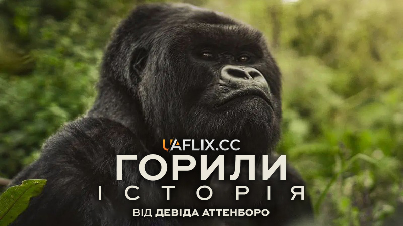 Горили: Історія від Девіда Аттенборо / A Gorilla Story: Told by David Attenborough