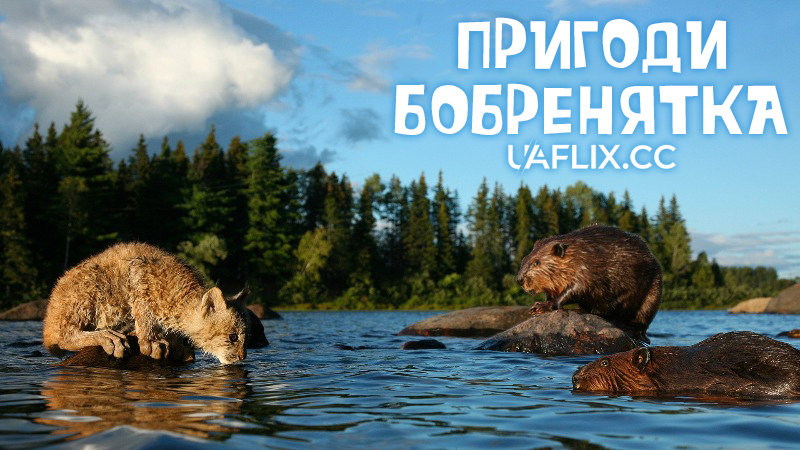 Пригоди бобренятка / White Tuft, the Little Beaver / Meche Blanche, les aventures du petit castor