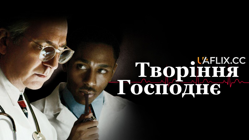 Творіння Господнє / Божествене творіння / Something the Lord Made